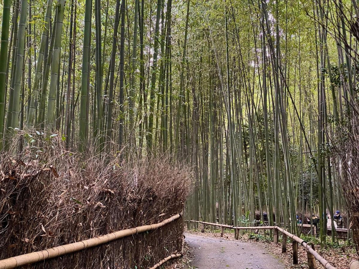 Hotel Yado Arashiyama Kjóto Exteriér fotografie